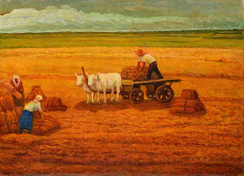 Raccolta del grano