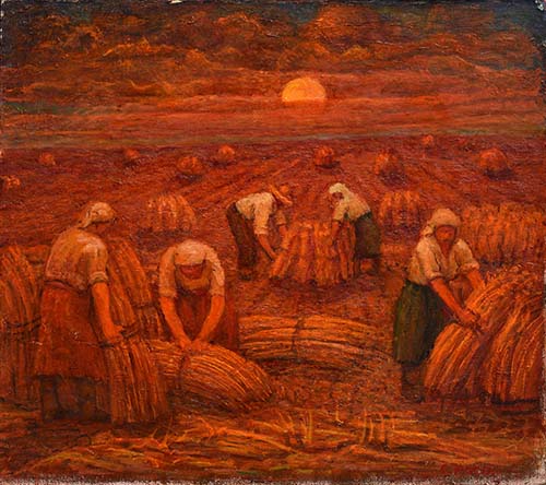 Mietitura al tramonto
