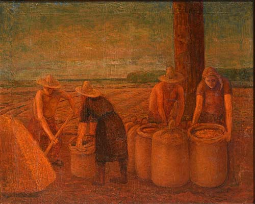 Insaccatura del grano
