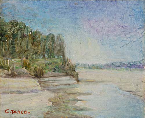 La boschina (paesaggio del Po)