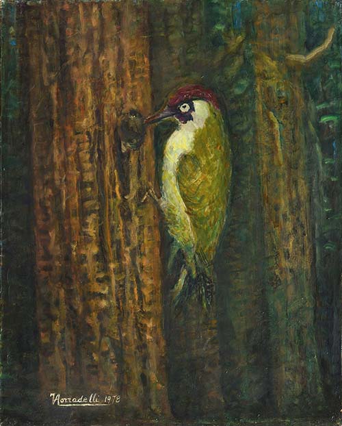 Il picchio nel bosco