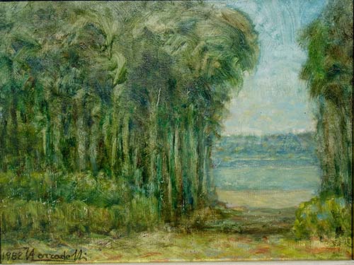 Paesaggio del Po con pioppi